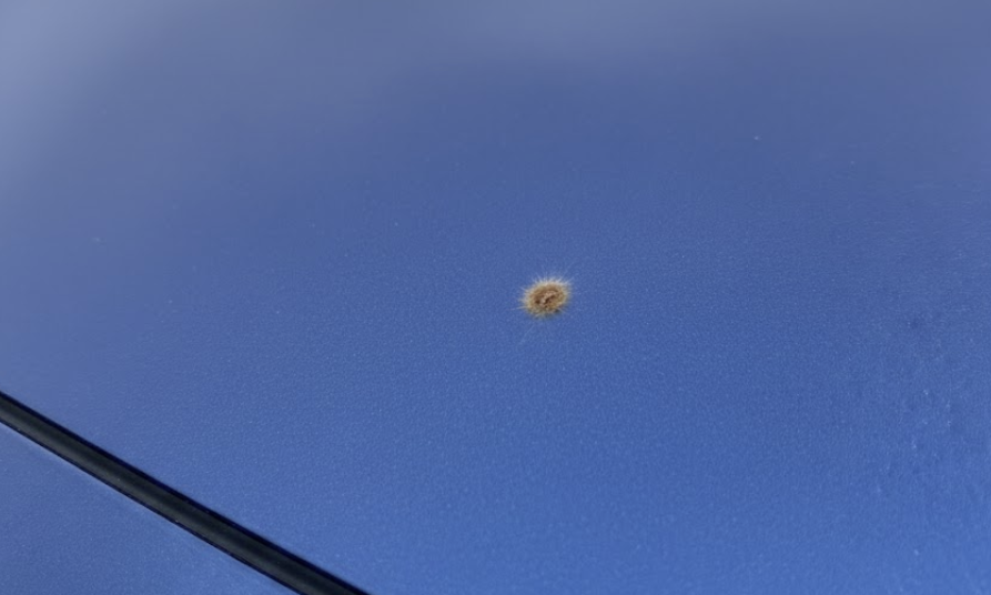 【愛車の顔】ボンネットの茶色い点、放置は「虫歯」！ディーラー交換より安く直す方法