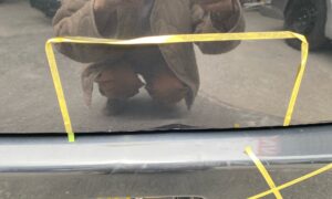 【東村山店】スズキ ワゴンRのバックドアの修理事例1